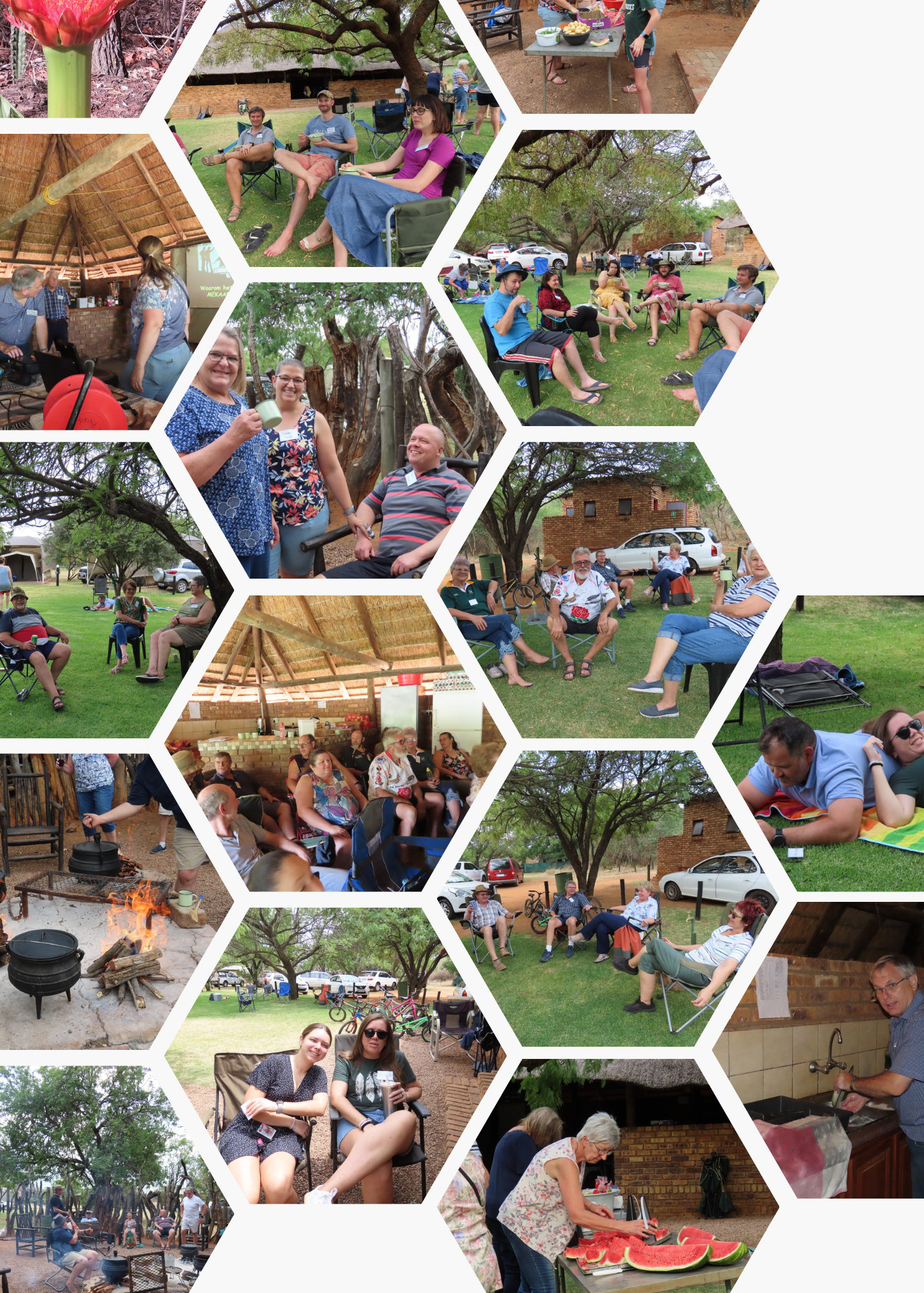 Picture Collage Save the Date Card